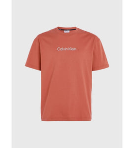 T shirt Calvin Klein copper sun